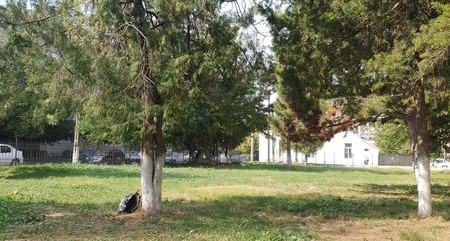 Read more about the article Prima grădină comunitară urbană din curtea unei școli din județul nostru