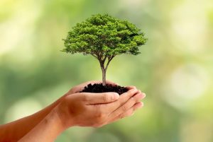 Read more about the article CONCURS DE SOLUȚII PRIVIND DIVERSELE METODE DE ECONOMISIRE A RESURSELOR NATURALE DIN TERITORIUL SDL TURNU 21